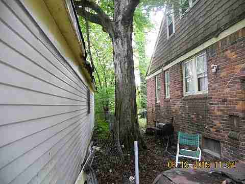 15017 Dolphin (3)_m.jpg